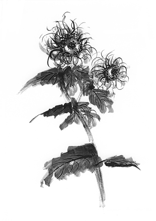 �q�}����